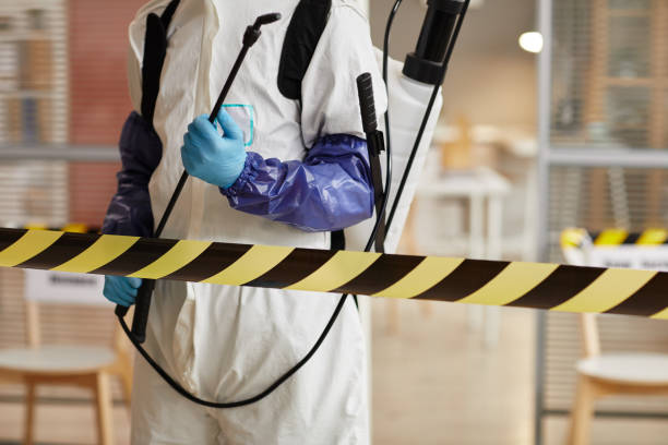 Professional Odor Removal technician working in South Lyme, CT